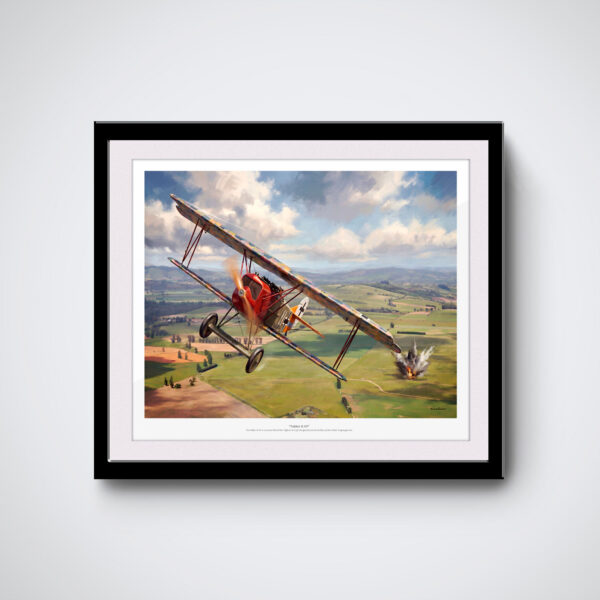 fokker d.vii german wwi aircraft print