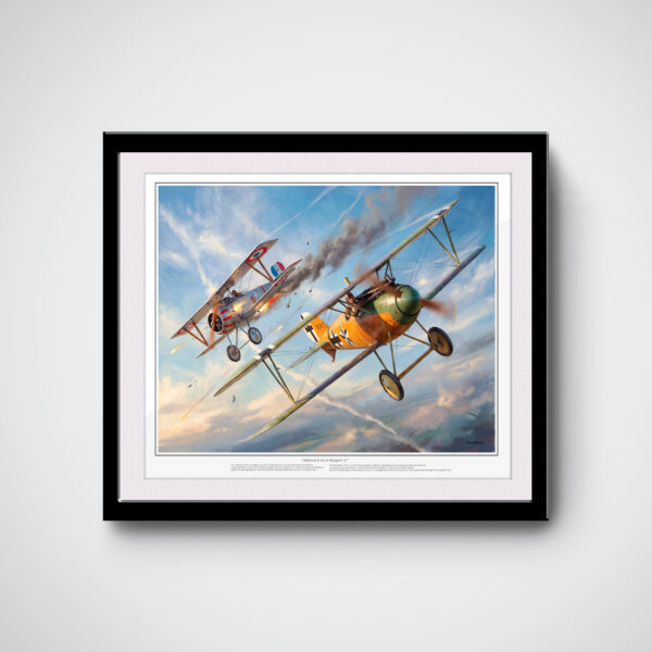 albatros d.va vs nieuport 17